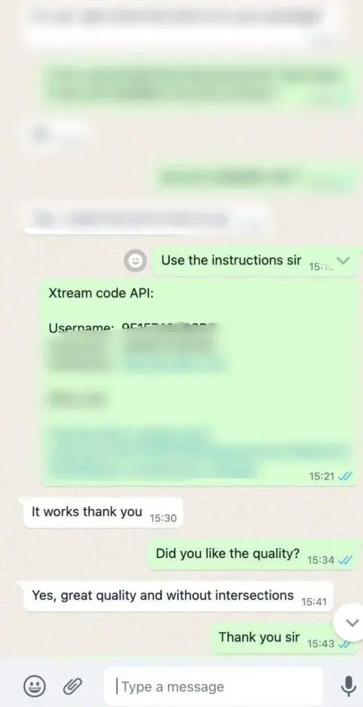 WhatsApp Support Chat Example 2